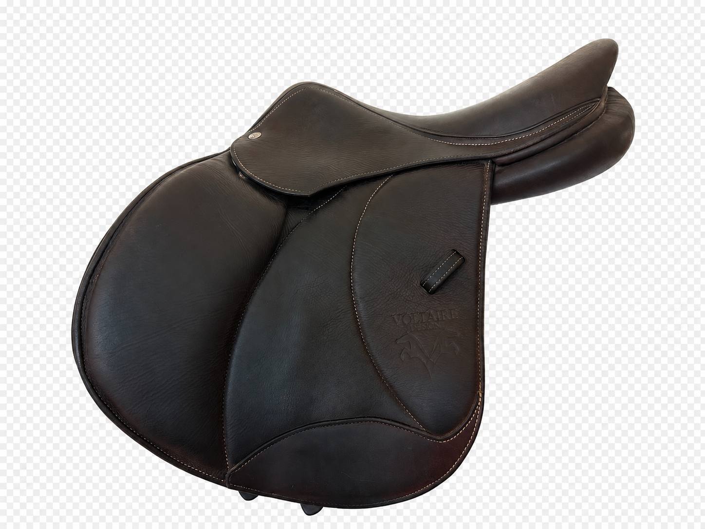 Voltaire Palm Beach | 16" 1A | 5" Tree Size | 2022