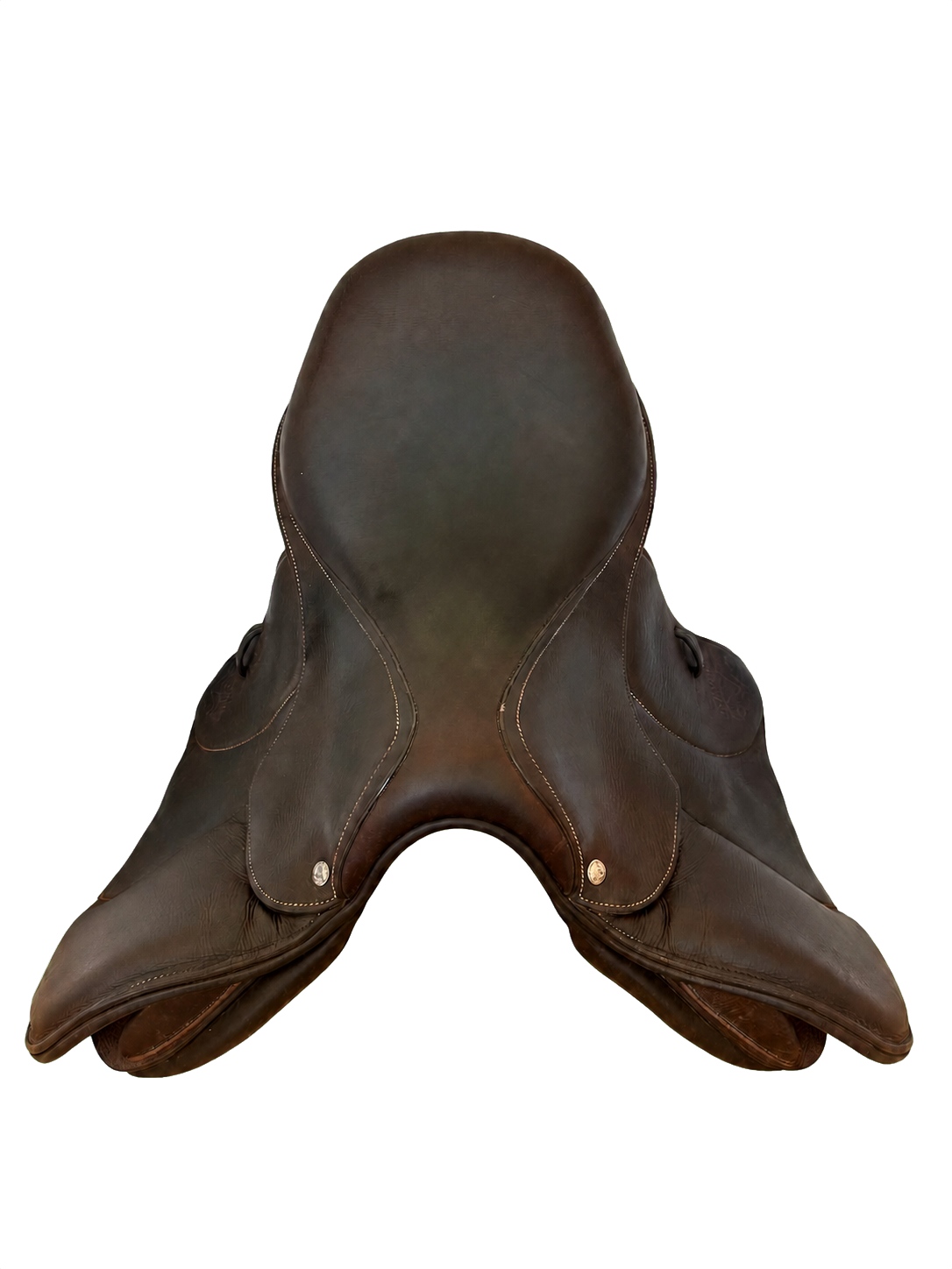 Voltaire Palm Beach | 16" 1A | 5" Tree Size | 2022