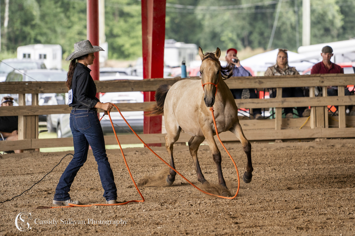 Zesta, 1yo Other/American Quarter Horse filly, 13.2hh