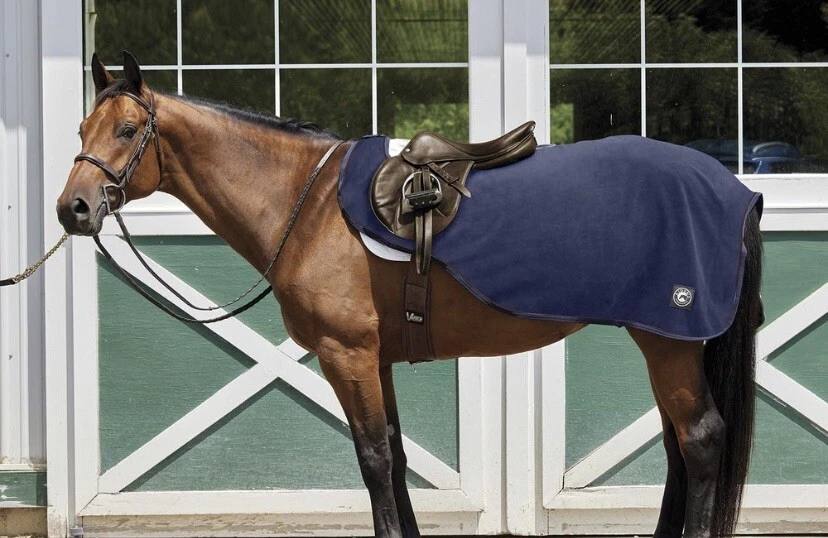 RIDERS INTERNATIONAL QuarterSheet