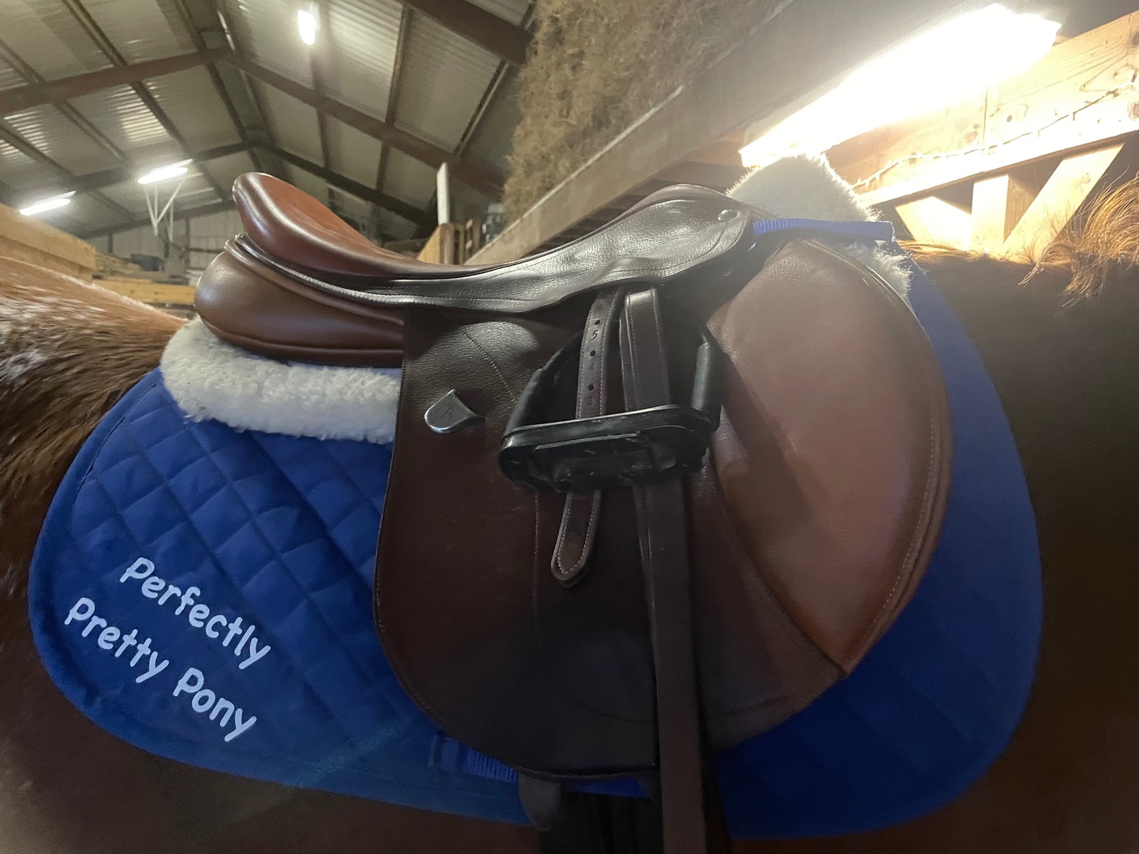 Perfectly Pretty Pony Saddle Pad