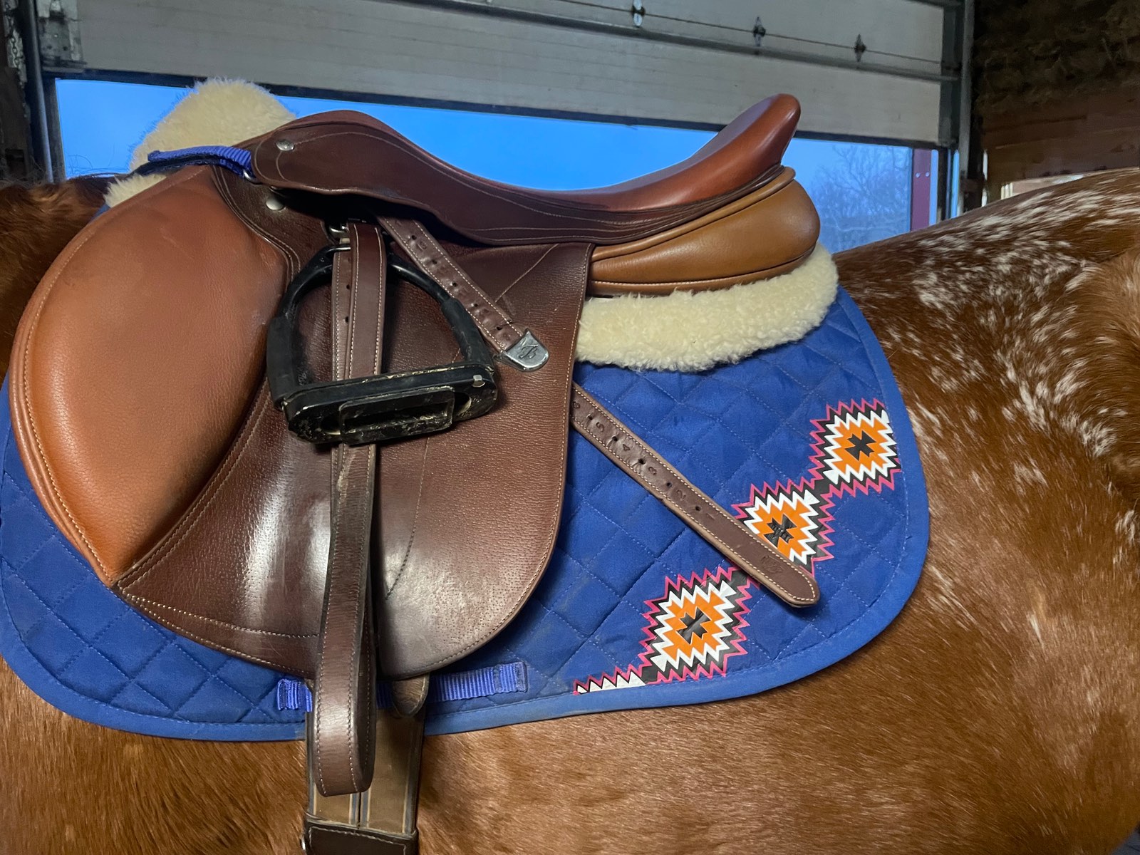 Perfectly Pretty Pony Saddle Pad
