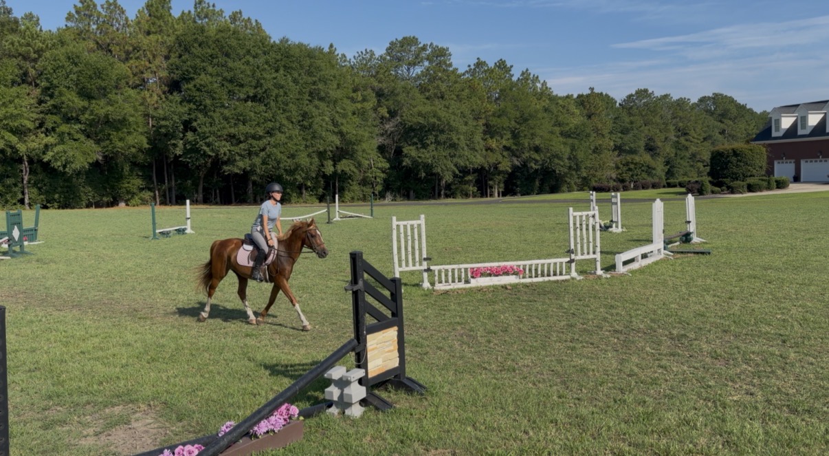 Hunter Jumper Prospect, 12yo Pony gelding, 14.1hh