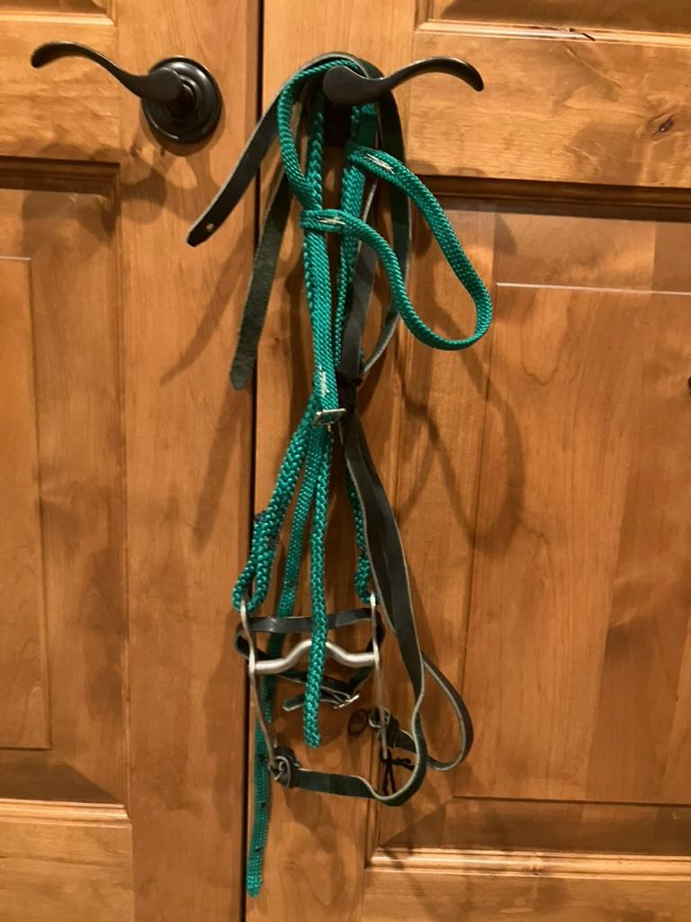 Complete Mini Bridle Set Up