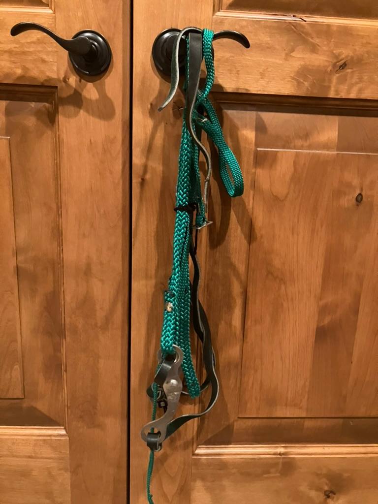 Complete Mini Bridle Set Up