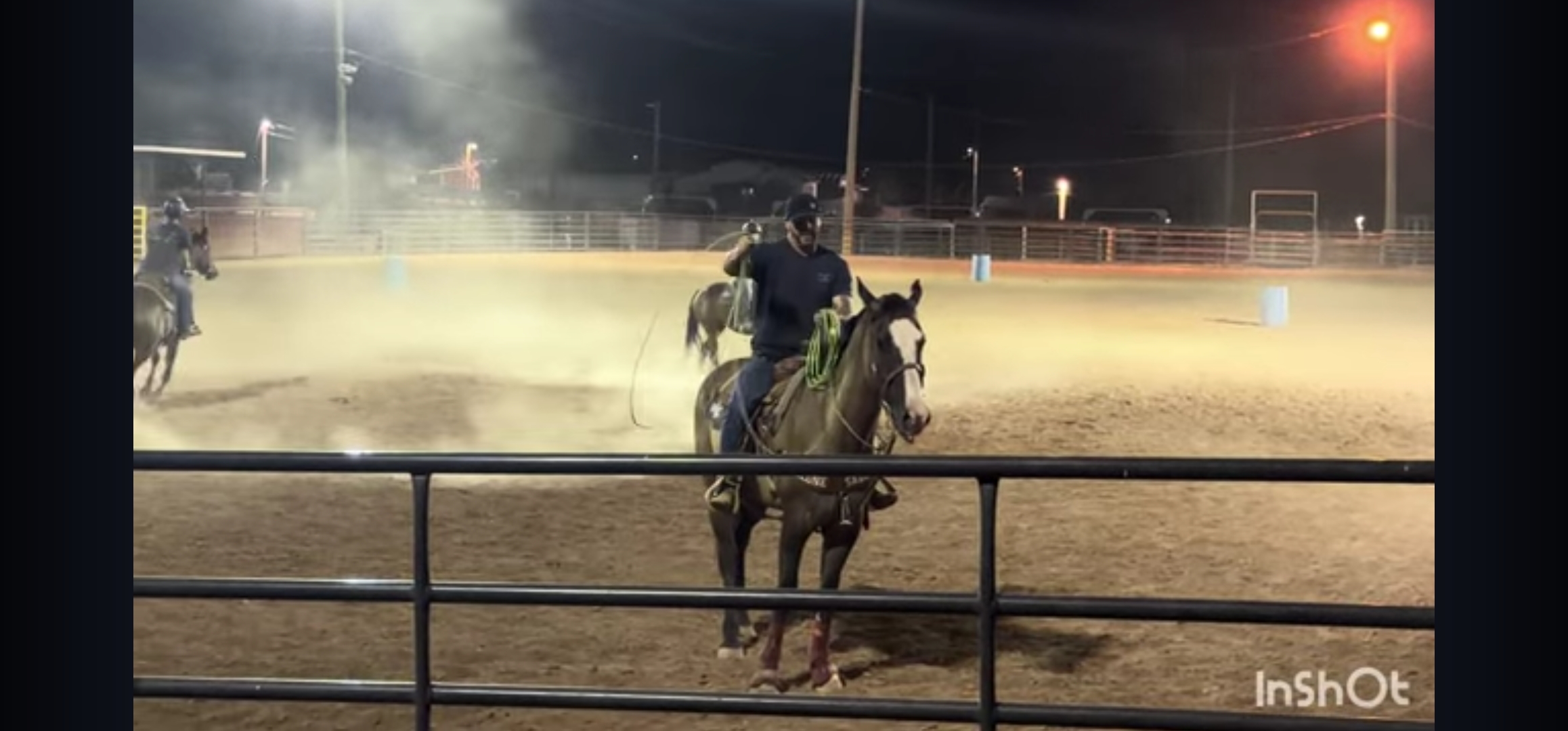 Diesel, 4yo Other gelding, 16.1hh