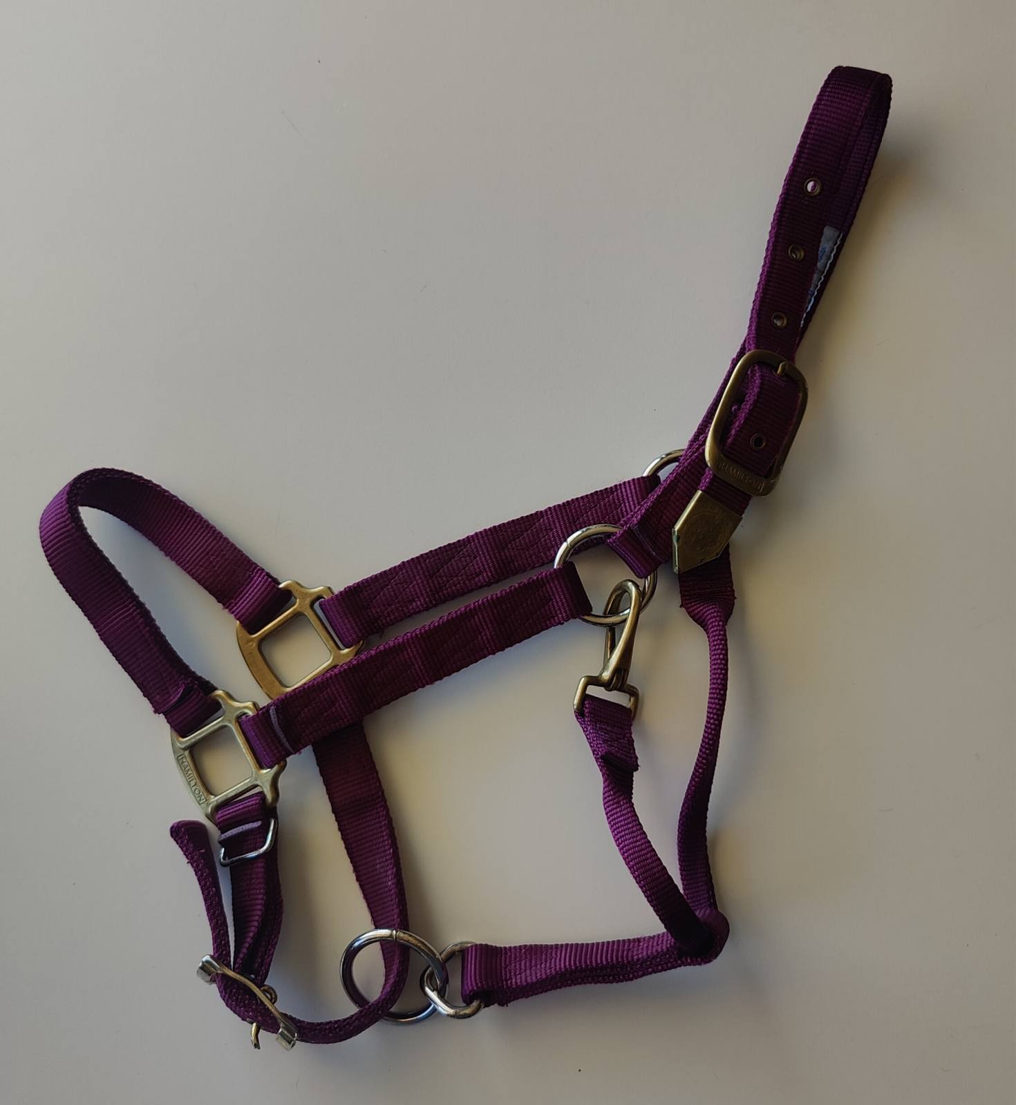 Hamilton Burgundy Halter Average Horse Size Used