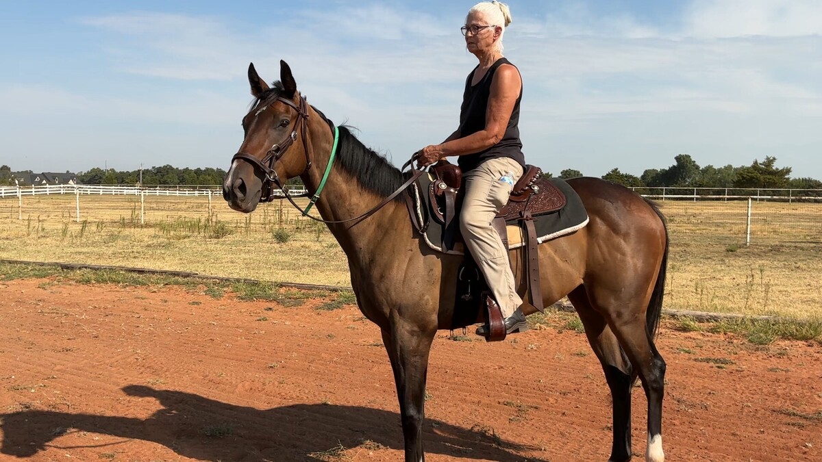 Title Talk, 3yo Thoroughbred gelding, 16.1hh