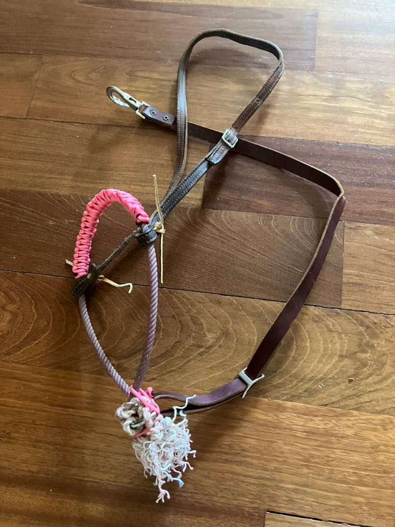 Lariat Tiedown