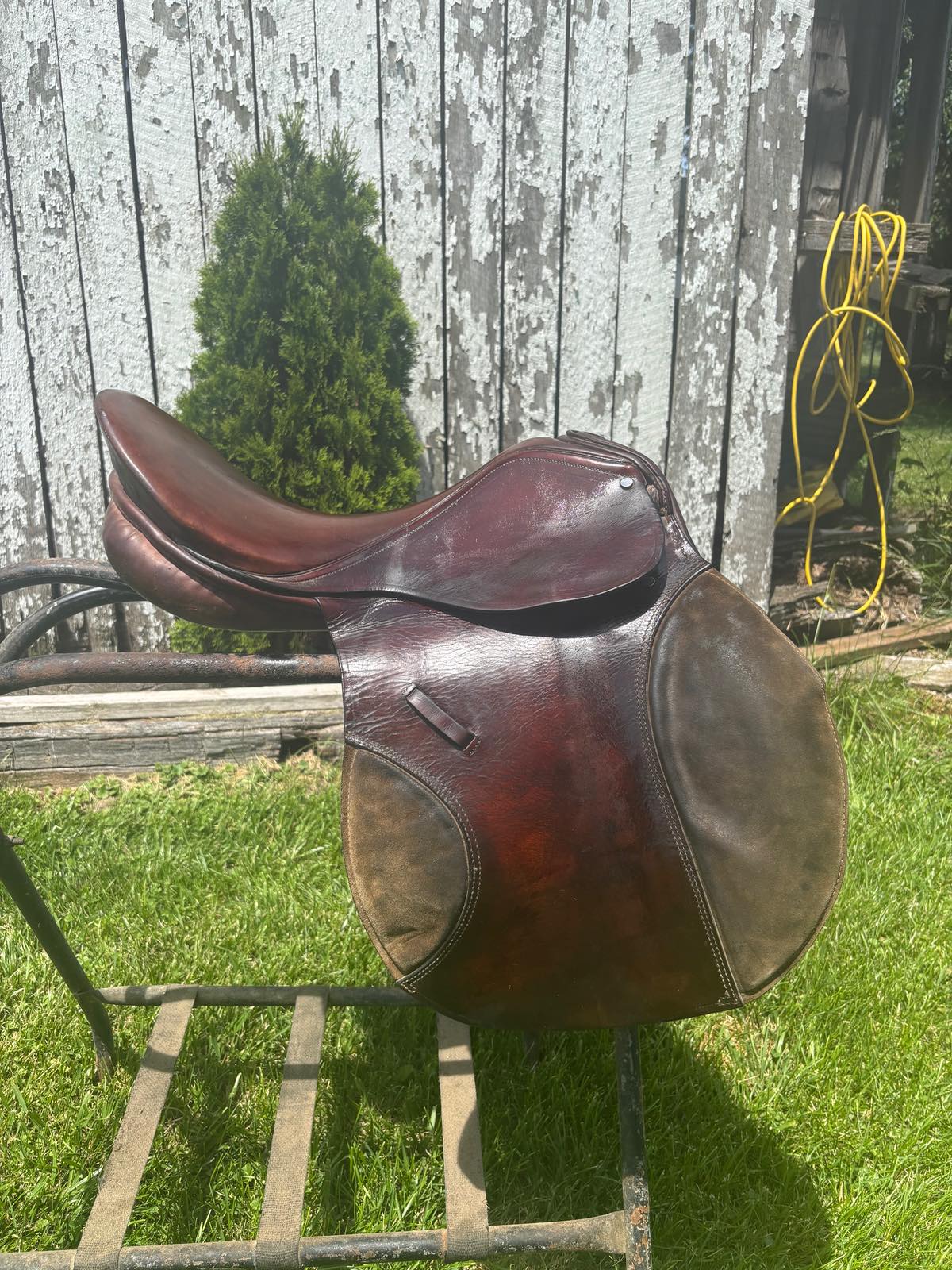 Vintage All purpose Jorge Canaves | 18" | 7" Tree Size | 2010
