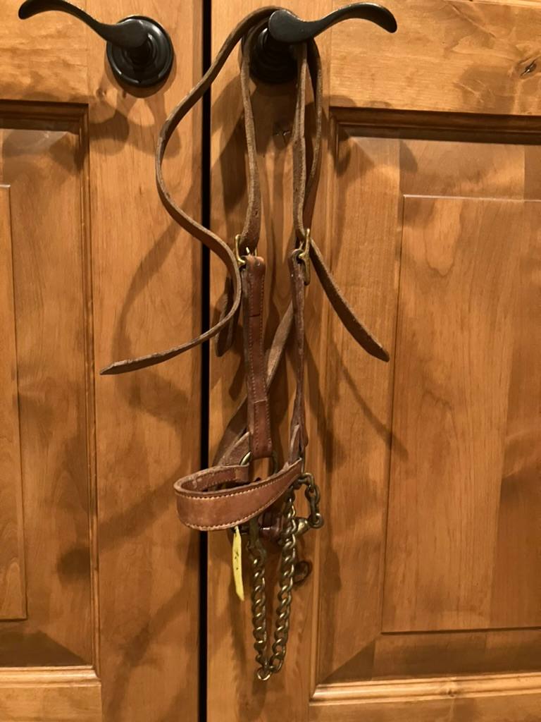 Leather Show Halter With Matching Lead/Chain
