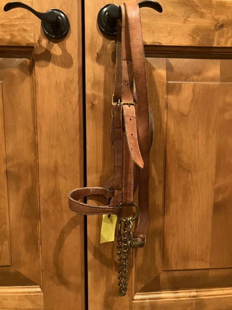 Leather Show Halter With Matching Lead/Chain