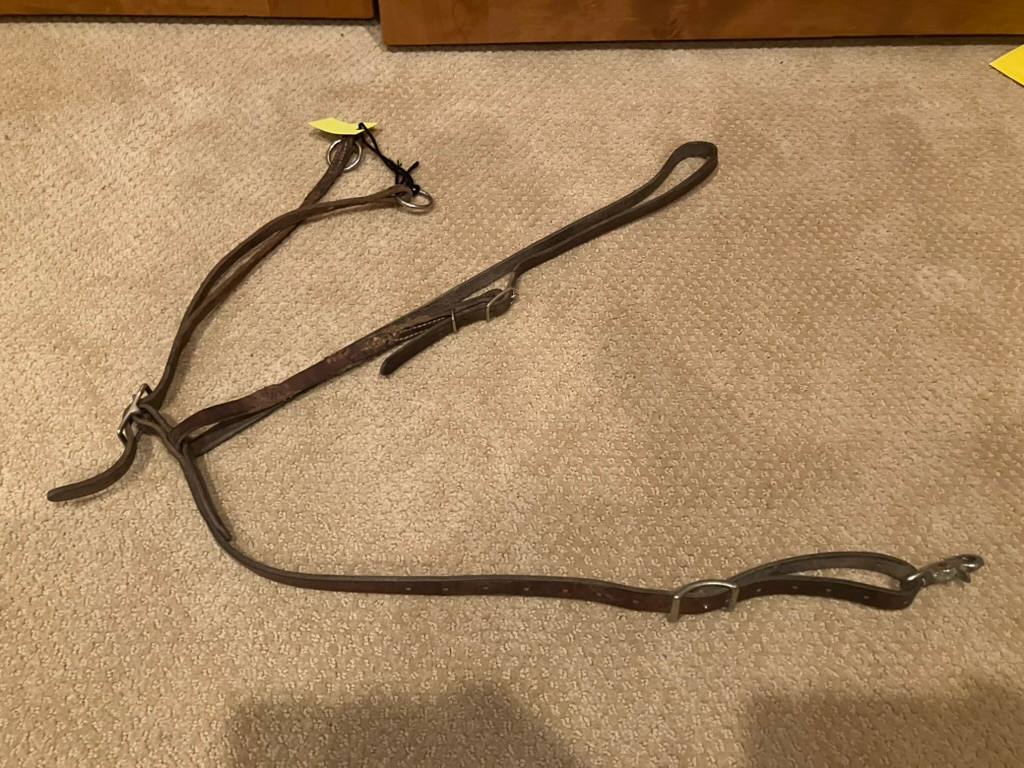 Running Martingale