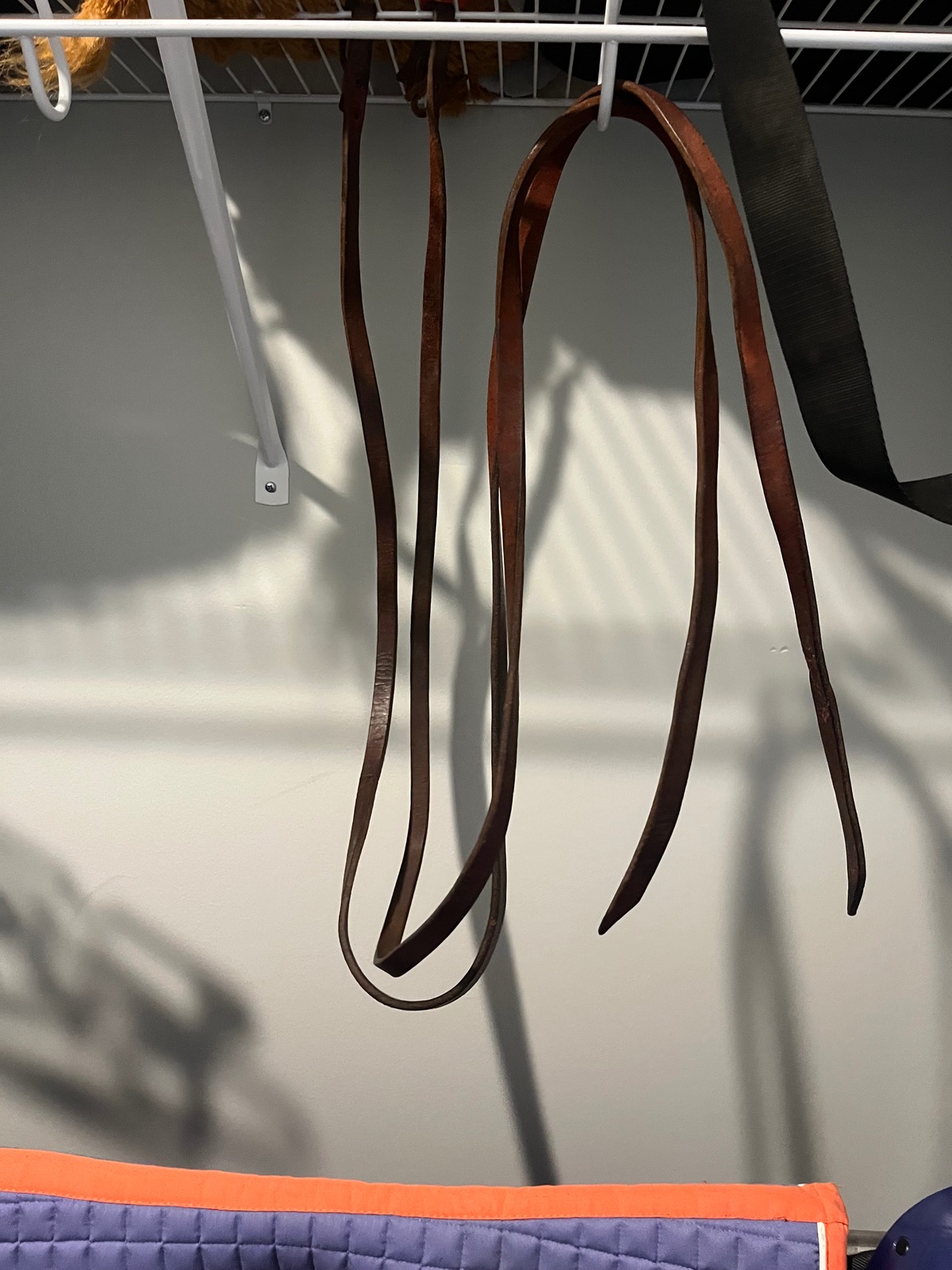 Reins
