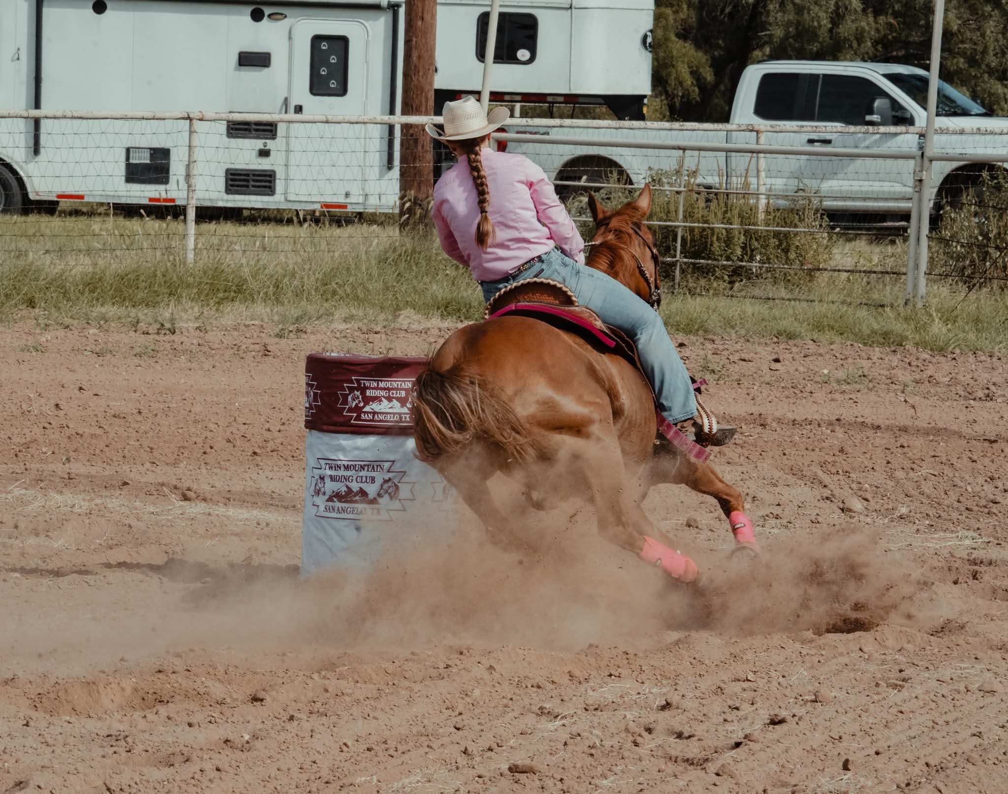 Clover, 16yo Quarter Horse mare, 14.3hh