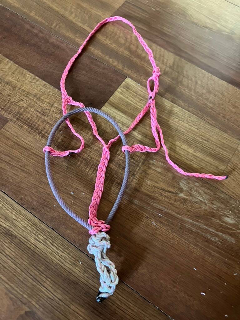 Lariat noseband paracord halter