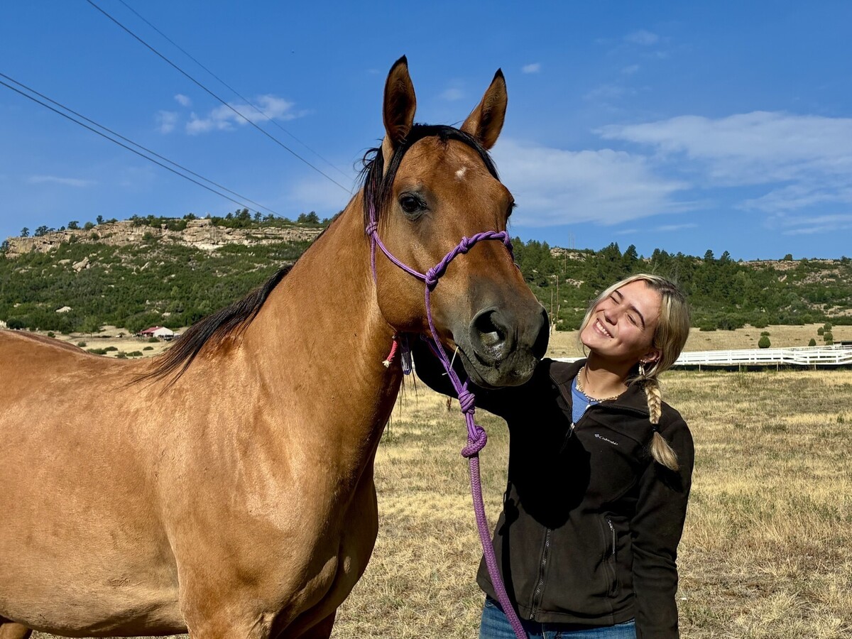 Bravo, 21yo gelding, 16.0hh