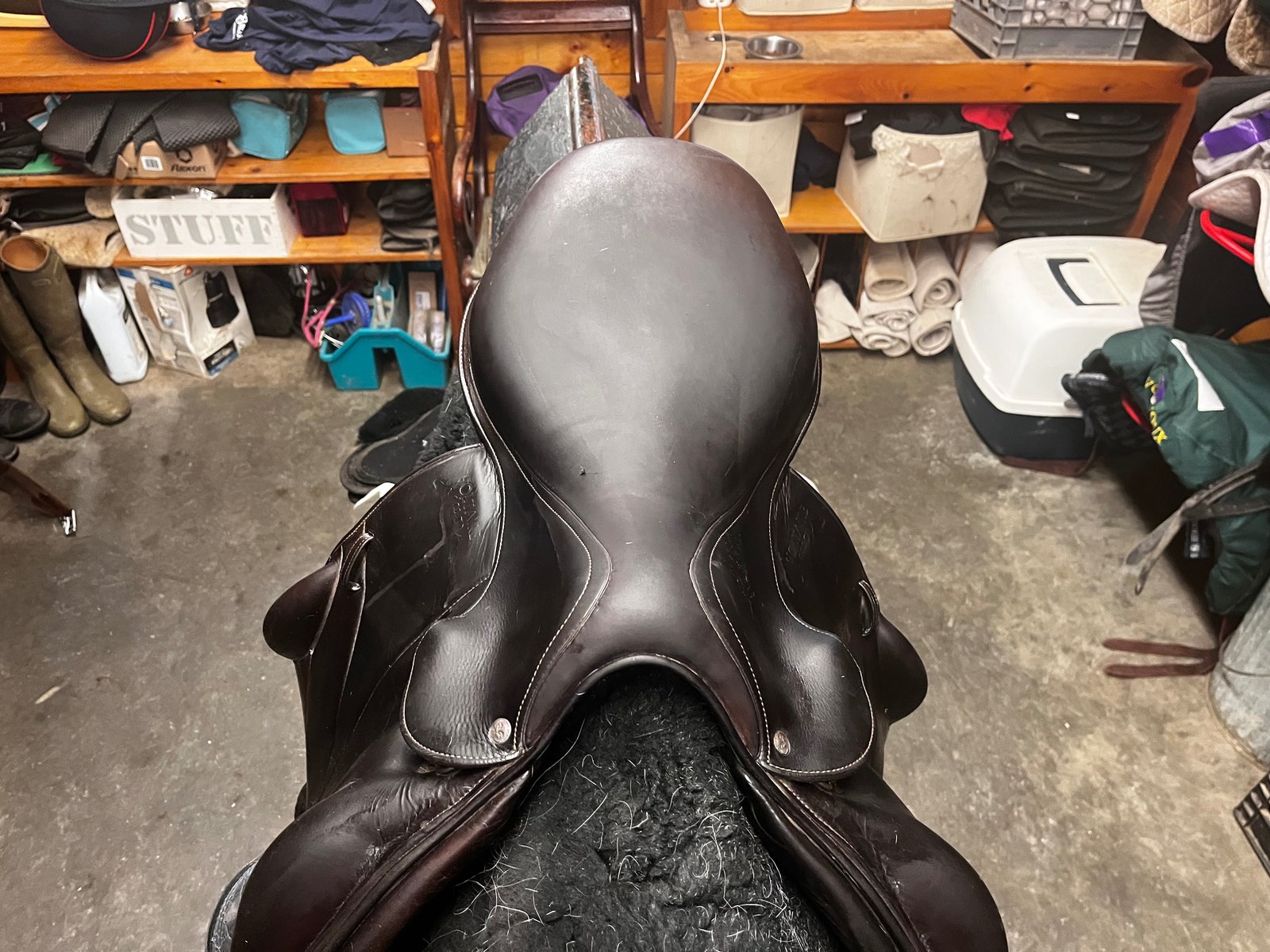 VOLTAIRE | 18" 2B10 | 6.25" Tree Size | 2018