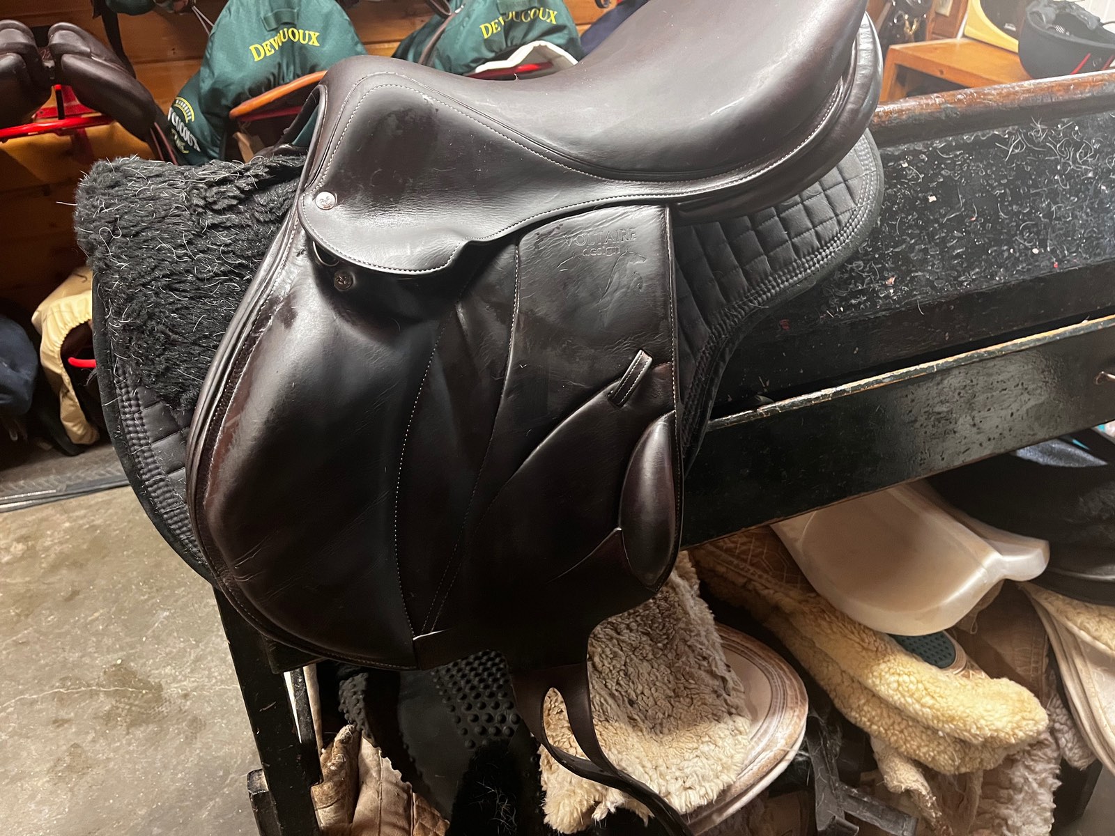 VOLTAIRE | 18" 2B10 | 6.25" Tree Size | 2018