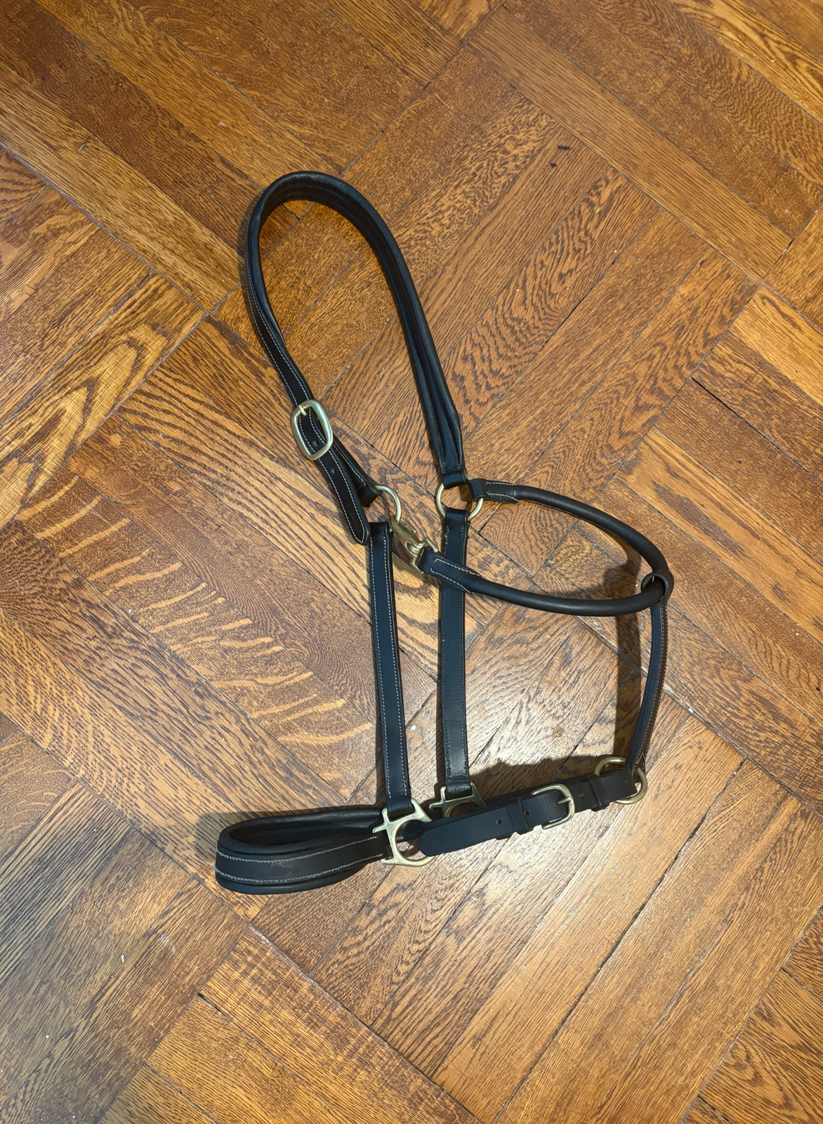 Horze Largo Leather Horse Halter, Black with White stitching, Warmblood / Oversized