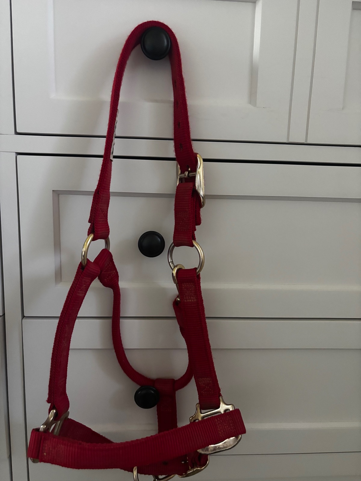 WEAVER Halter red small horse pony size lightly used