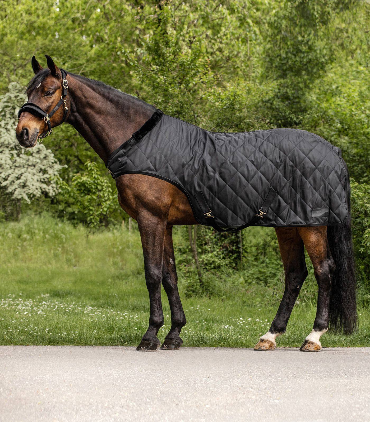 WALDHAUSEN Exclusive Horse Walker Rug/Sheet 50G - Fur Lined - 135cm Black/Black - NEW