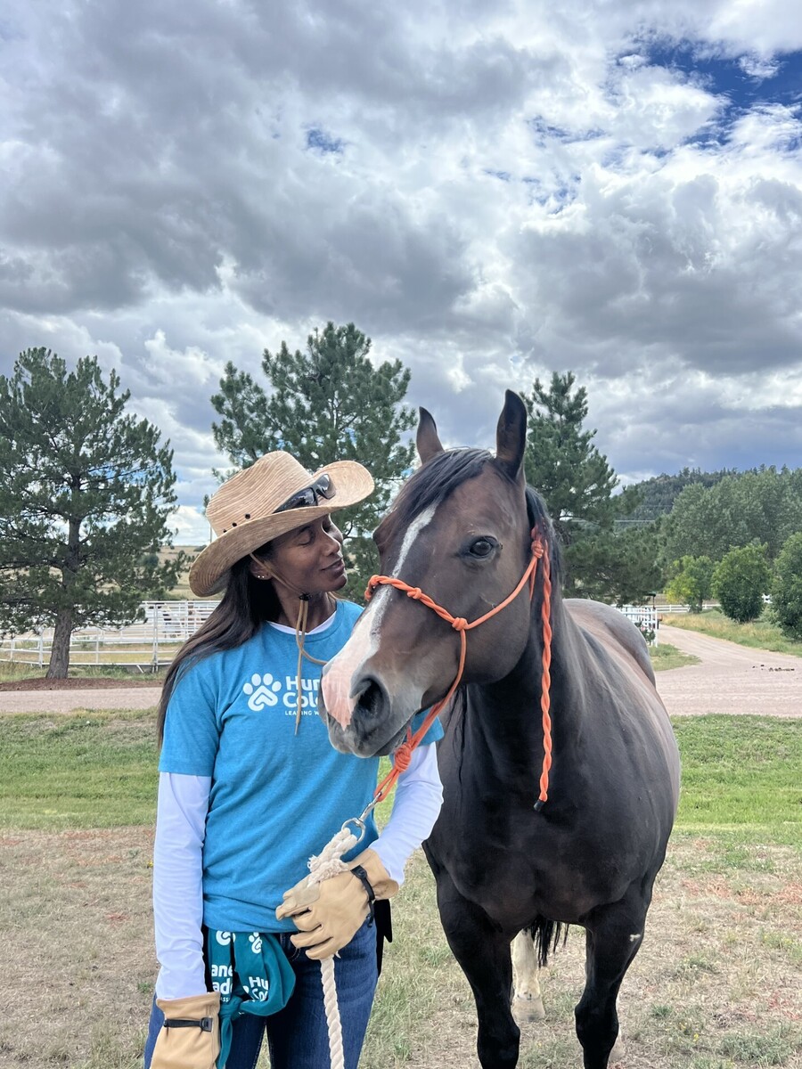 Chrysanthemum, 16yo mare, 14.0hh
