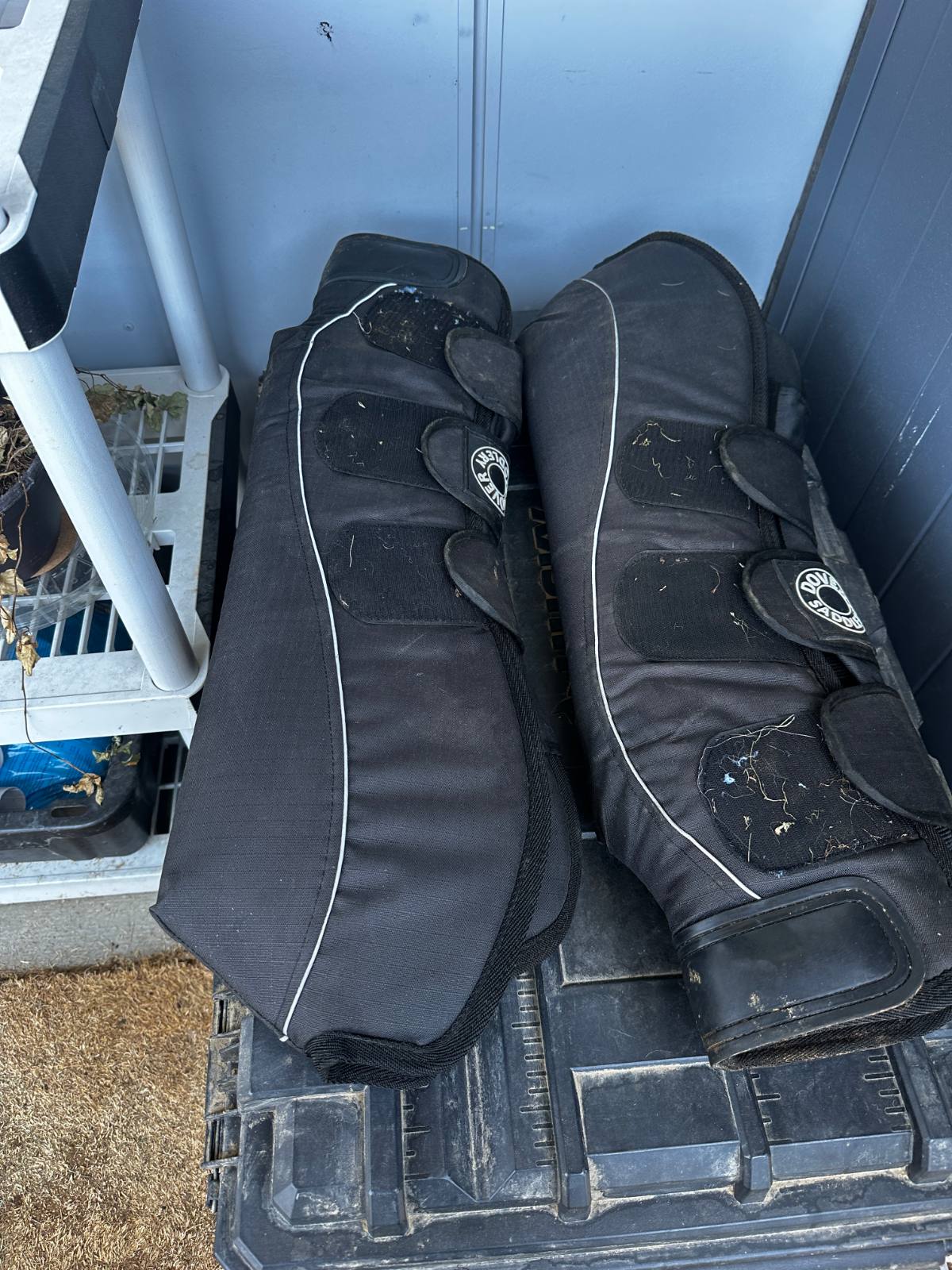 Shipping Boots - DOVER SADDLERY