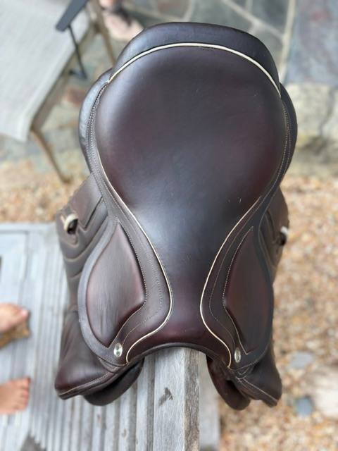 CWD | 16.5" | 5" Tree Size