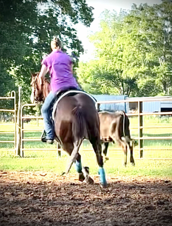 THIISCHICLOVESAGUN (Mercedes), 11yo AQHA Quarter Horse APHA Paint mare, 14.3hh