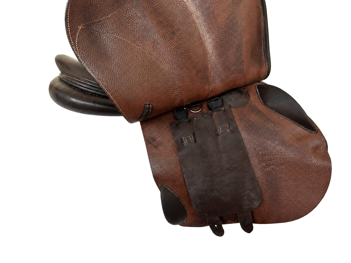 Voltaire Palm Beach | 17.5" 3AA | 4.75" Tree Size | 2022