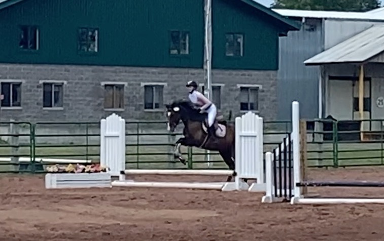 Jellybean, 3yo Thoroughbred mare, 15.0hh