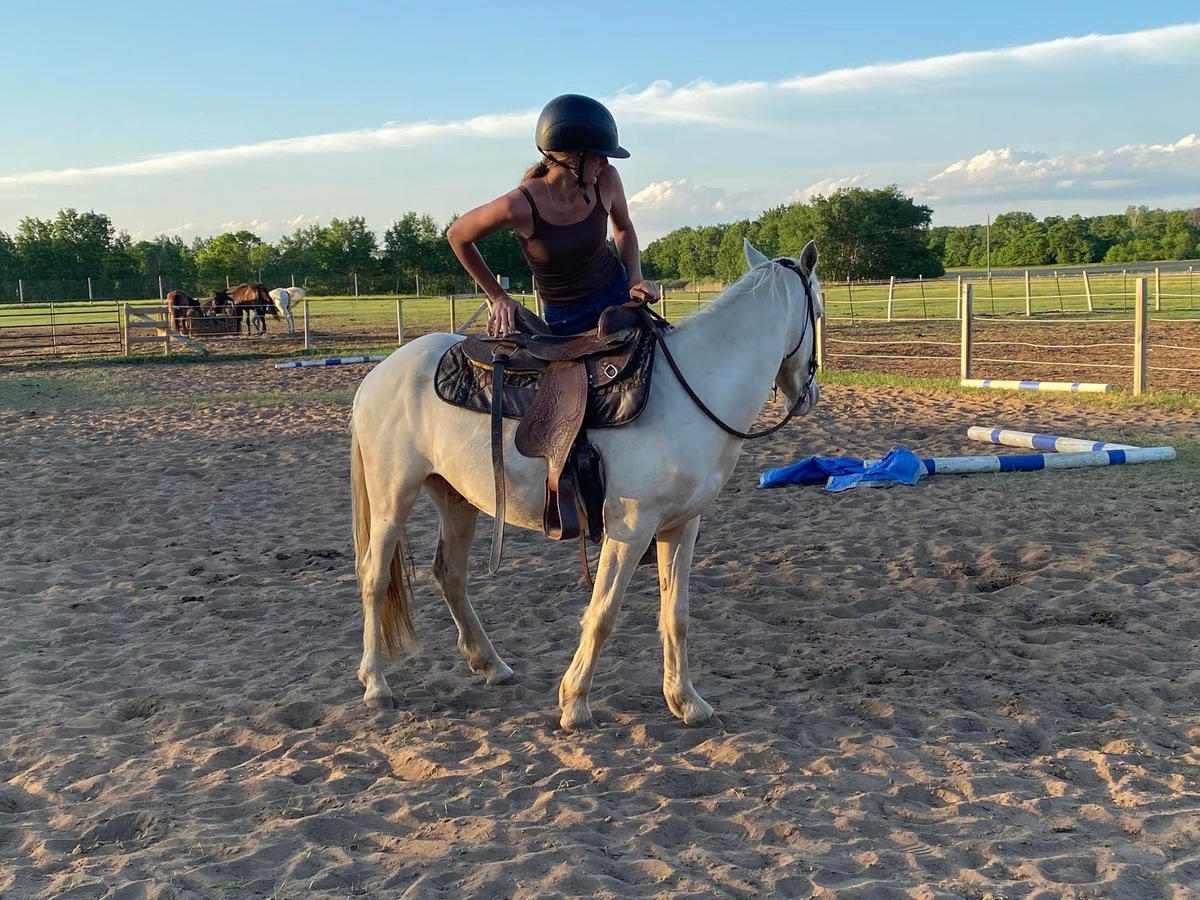 Popcorn, 3yo Mustang gelding, 14.1hh