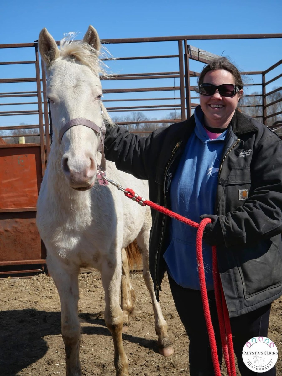 Popcorn, 3yo Mustang gelding, 14.1hh