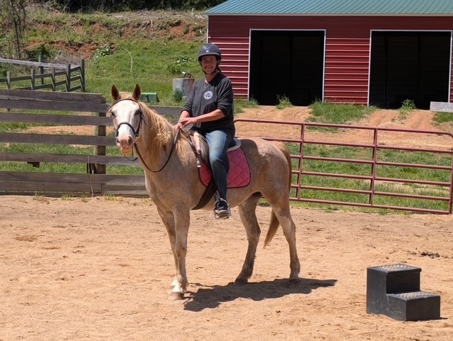Fina, 31yo Appaloosa mare, 14.1hh