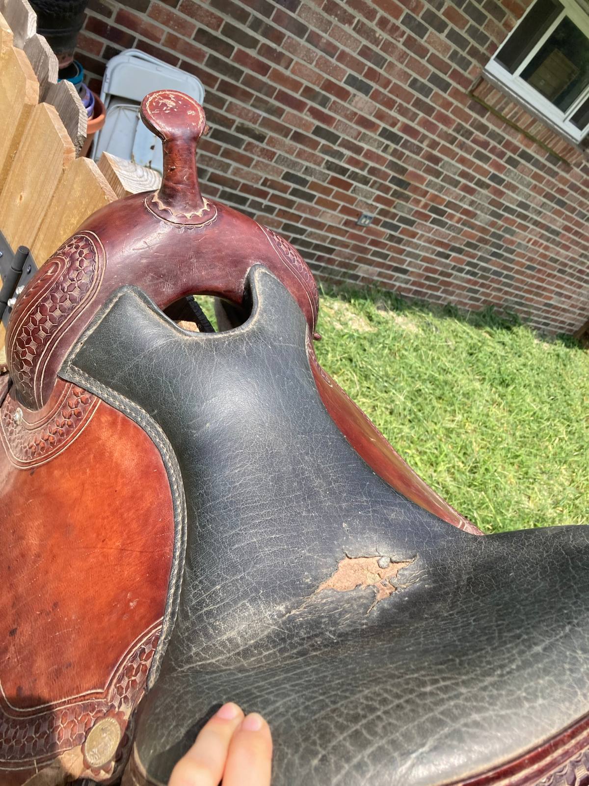 Hilason | 16" | 7" Tree Size | 2019