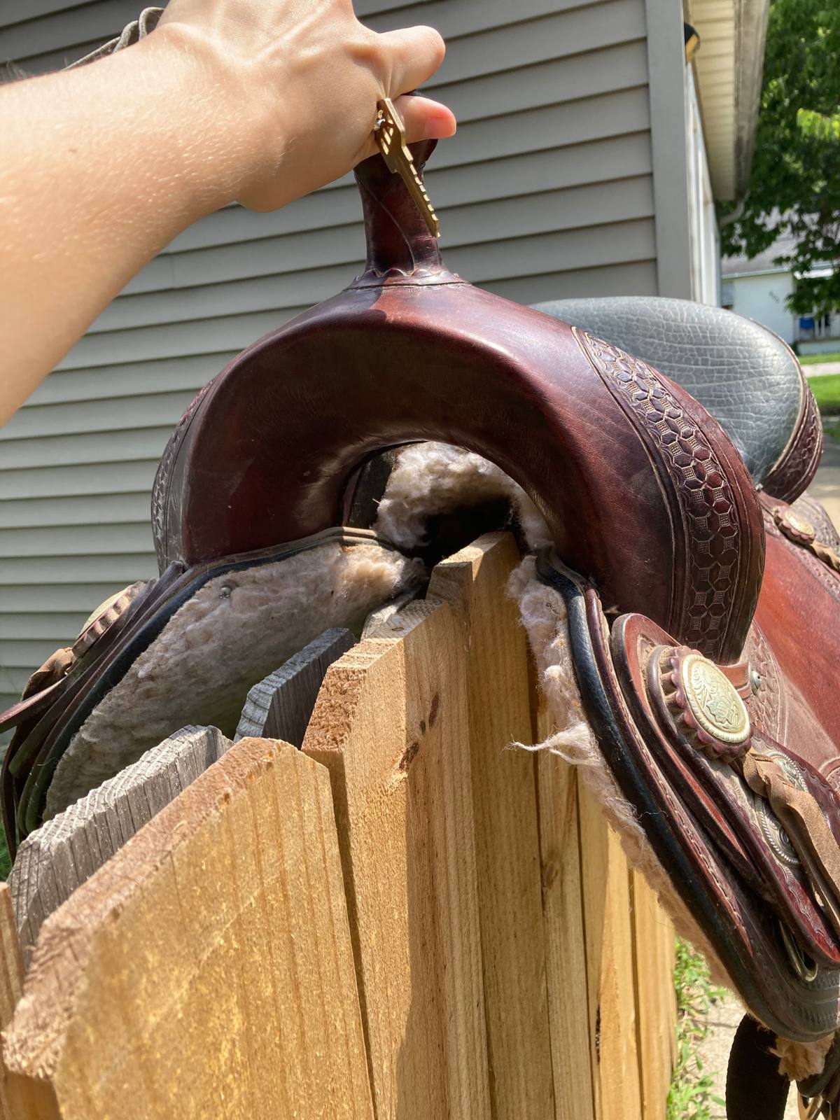 Hilason | 16" | 7" Tree Size | 2019