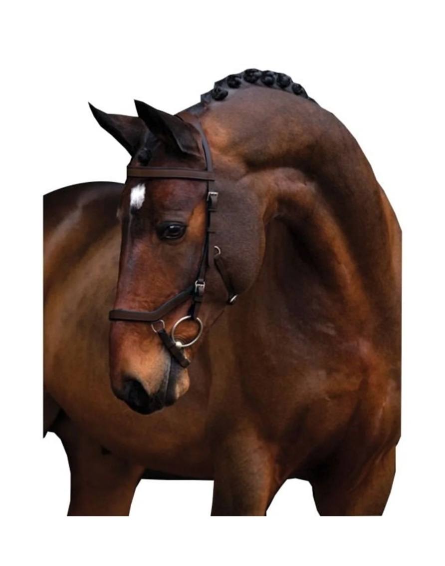 RAMBO MICKLEM Bridle