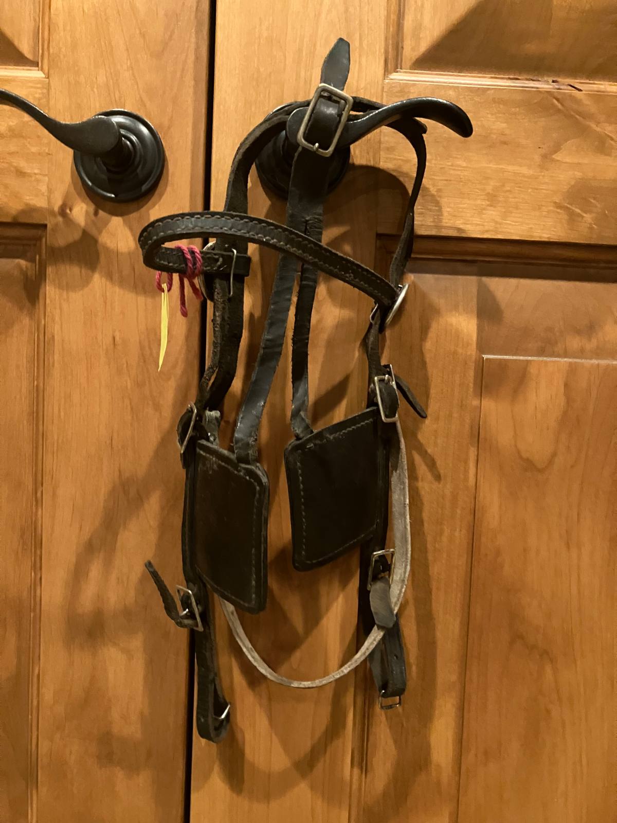 Pony Driving Bridle