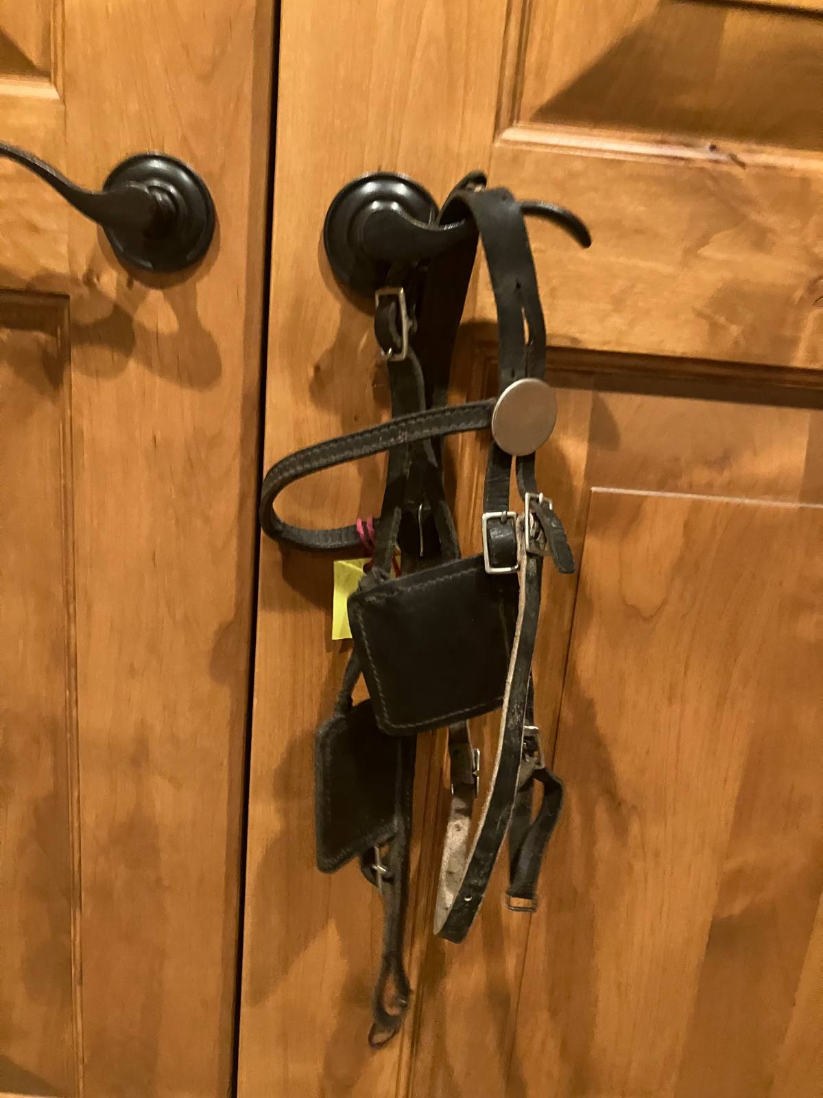 Pony Driving Bridle