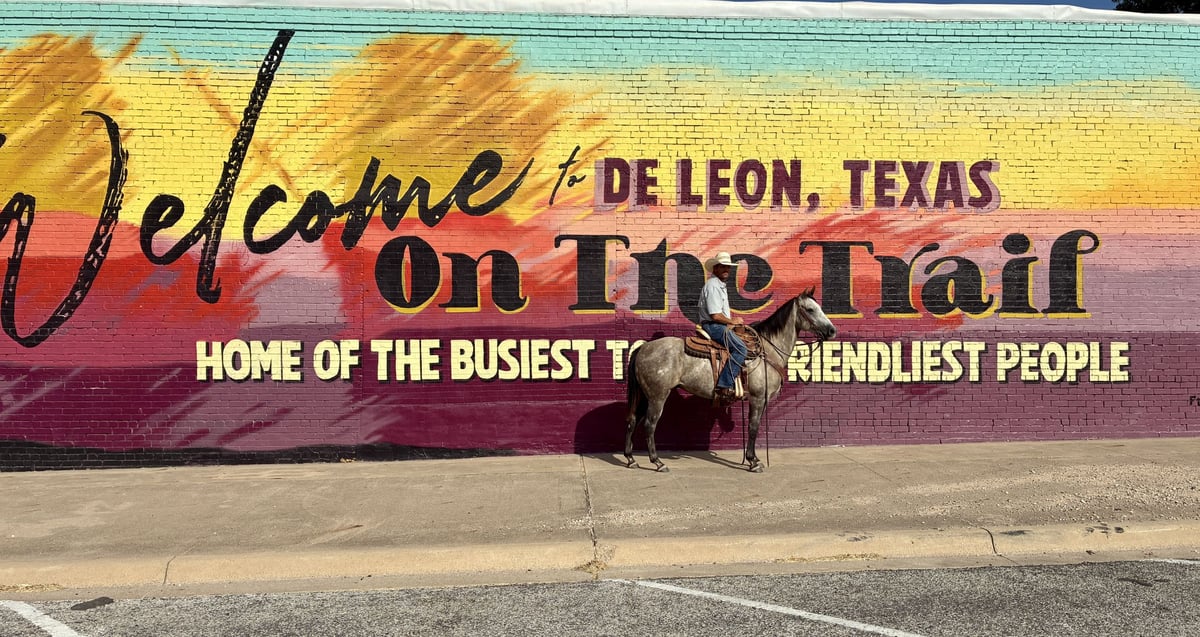 American Quarter Horse, 4yo American Quarter Horse gelding