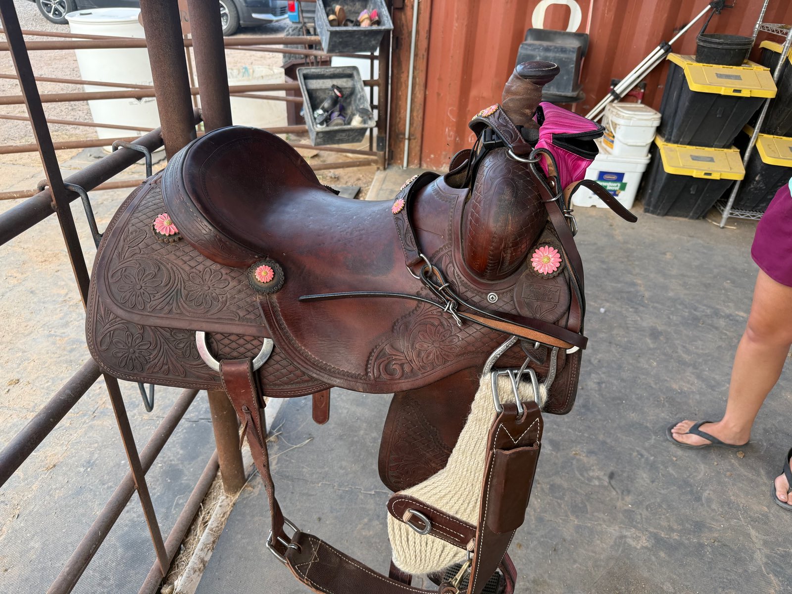 Trent Ward | 16" | 6.75" Tree Size