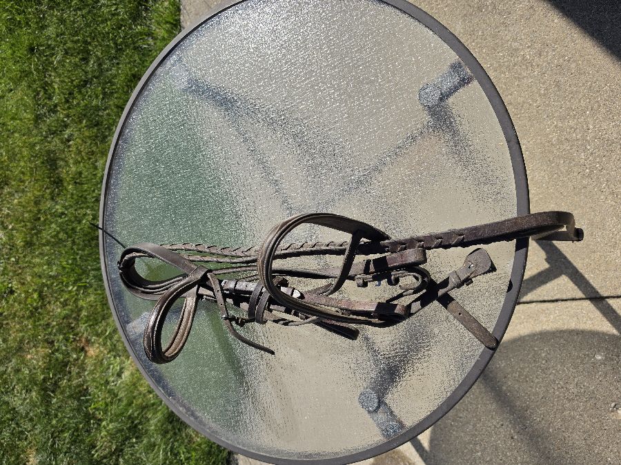  Used Horse Sized Bridle