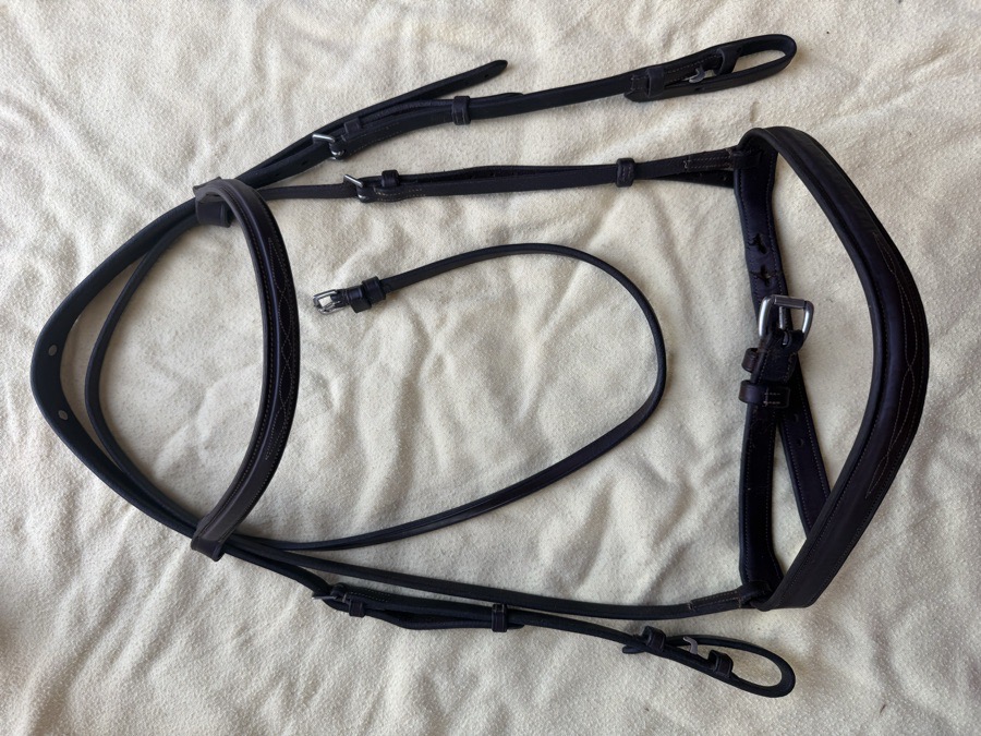 fancy stitch hunter bridle