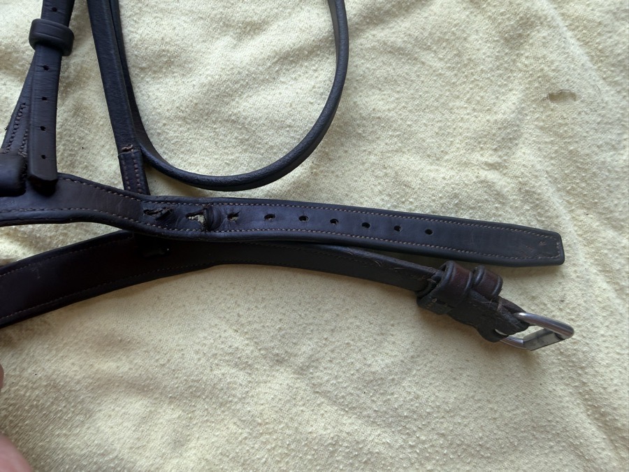 fancy stitch hunter bridle