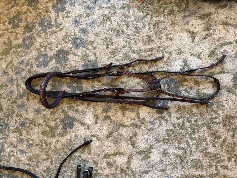 DOVER SADDLERY Bridle OverSize