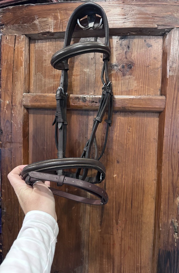 OTHER Bridle Cob