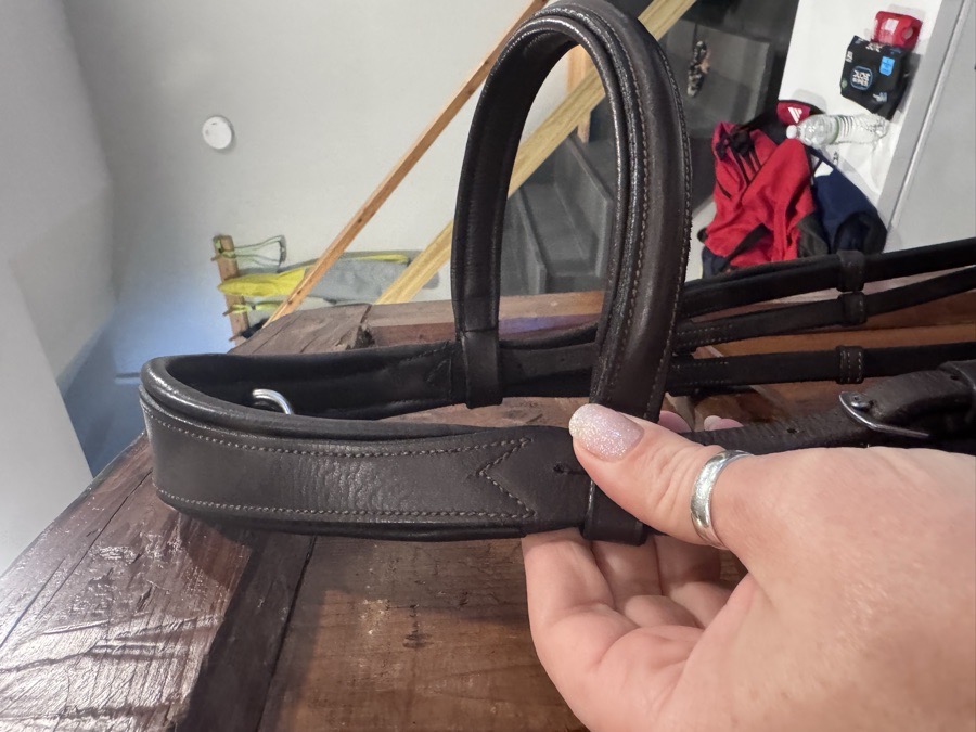 OTHER Bridle Cob