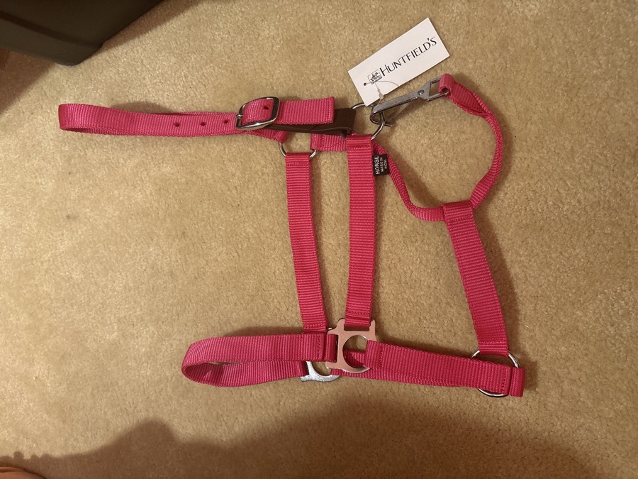 Dover Saddlery Nylon Breakaway Halter