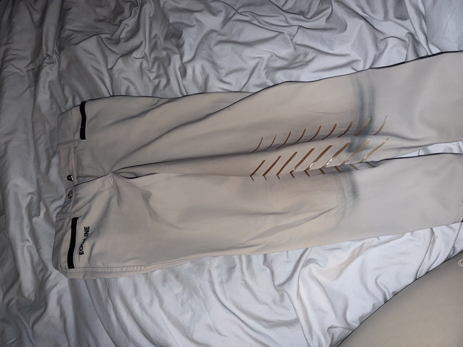 EQUILINE Show Outfit Accessories